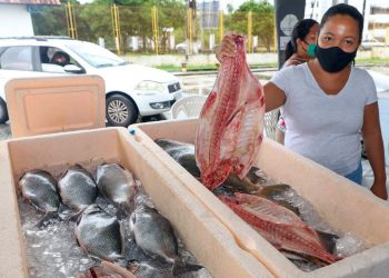 FOTOS: Arthur Castro / Secom