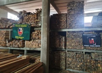 FOTOS: Divulgação/PMAM