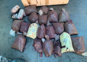 FOTOS: Divulgação / SSP-AM