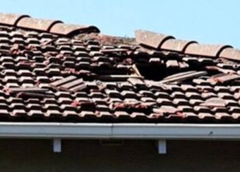 Reprodução / Internet