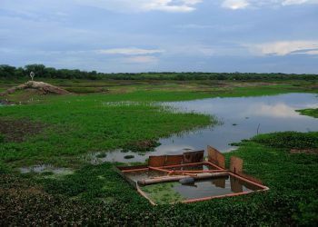 Fernando Frazão/Agência Brasil