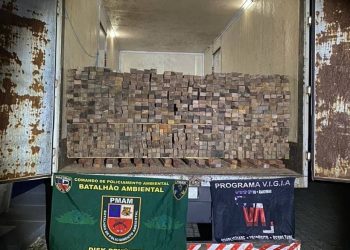 Divulgação/PMAM