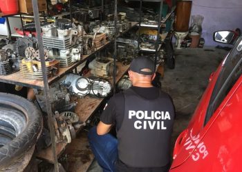 FOTOS: Divulgação/ PC-AM