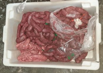 FOTO: Divulgação/Adaf