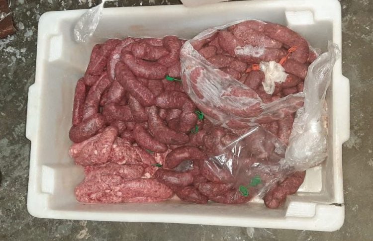 FOTO: Divulgação/Adaf