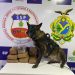 Divulgação/SSP-AM