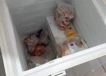 Fotos: Divulgação /Adaf