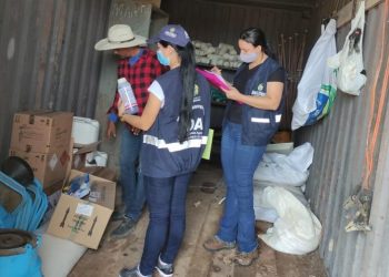 FOTOS: Divulgação/Adaf