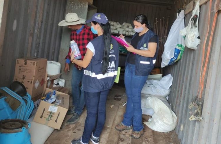 FOTOS: Divulgação/Adaf