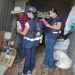 FOTOS: Divulgação/Adaf