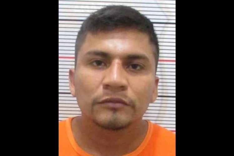 FOTO: Divulgação/PMAM