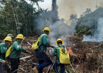 Foto: Divulgação/Sema