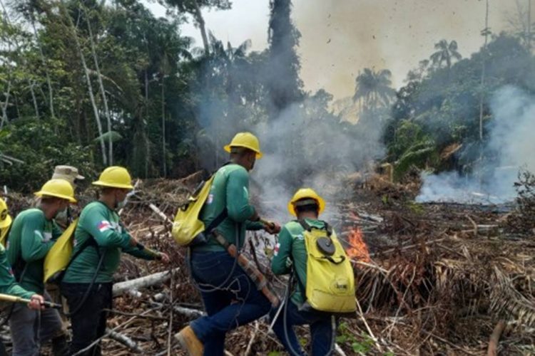 Foto: Divulgação/Sema