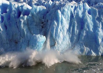 Reprodução / Internet