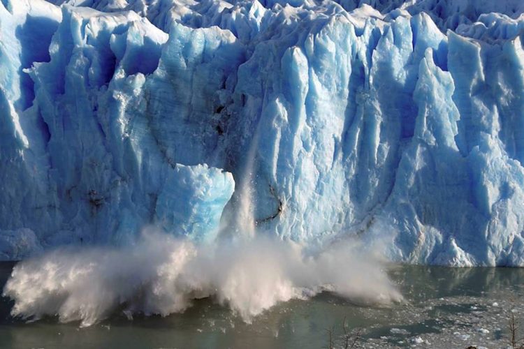 Reprodução / Internet