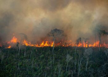 Foto: Christian Braga/Greenpeace