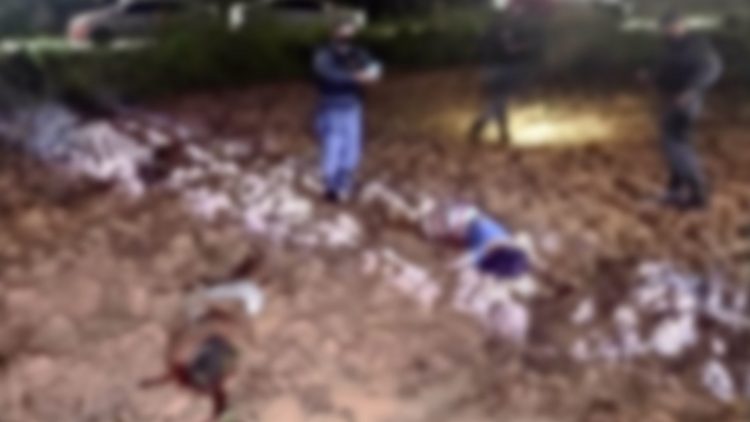 Reprodução/ Internet