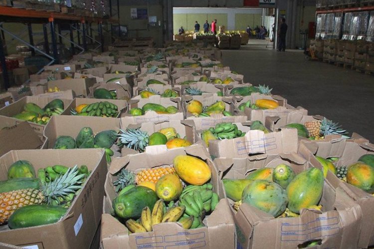 Foto – João Viana / Arquivo Semcom