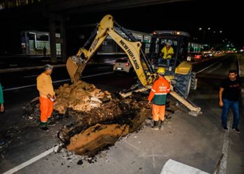 Foto – Osmar Neto / Seminf