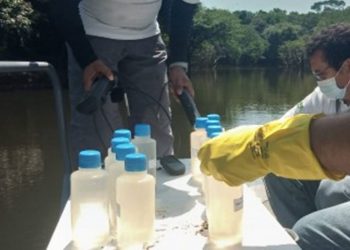 Foto: Jeovana Torres / IPAAM