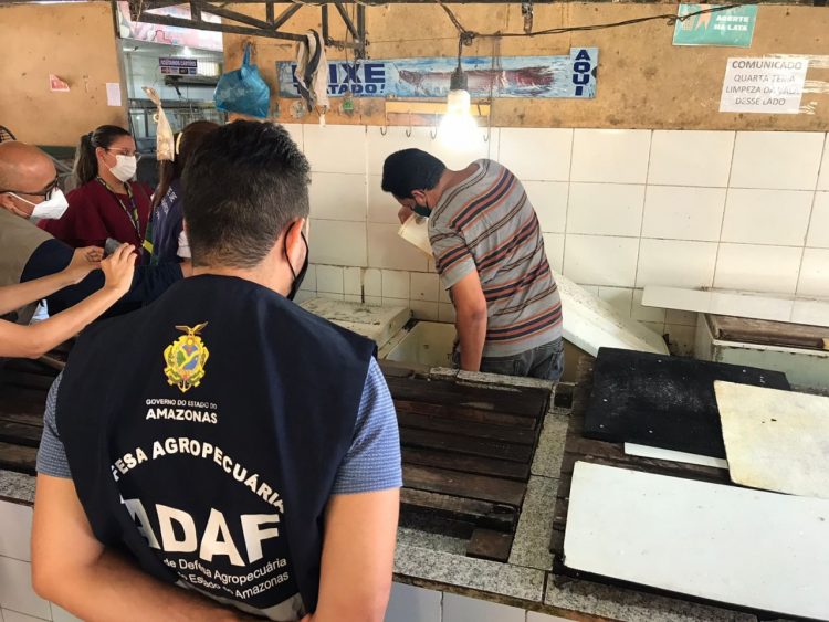 FOTOS: Divulgação/Adaf