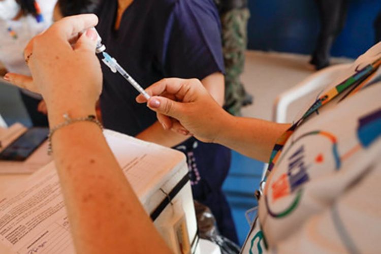 Foto: Ruan Souza e Marcely Gomes / Semcom e Camila Batista / Semsa