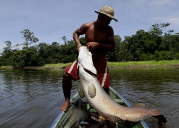 Foto: Reprodução / Internet