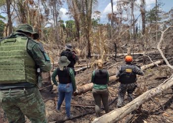 No acumulado do ano, estado conseguiu reduzir em 14% número de focos de calor. Foto: Divulgação/SSP-AM