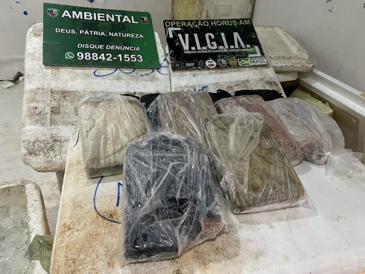 FOTO: Divulgação /PMAM