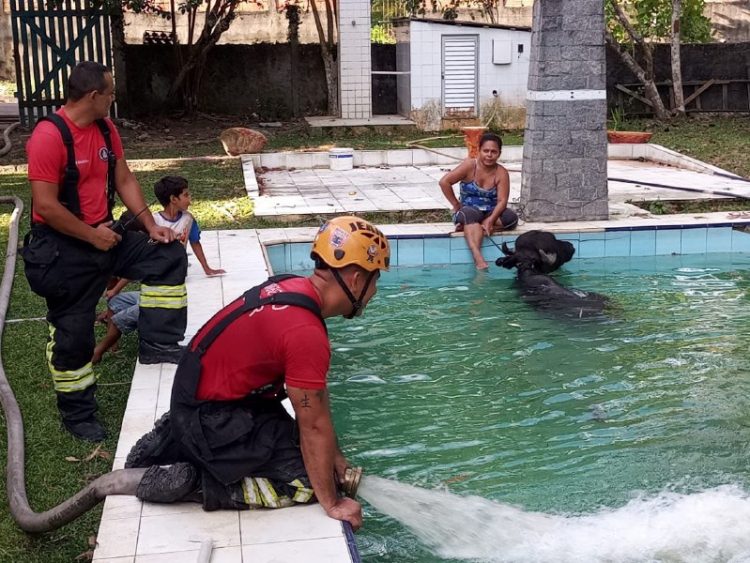 Foto: Divulgação- Corpo de Bombeiros