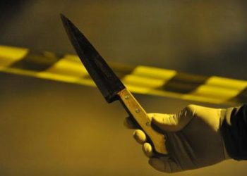 Reprodução/Internet