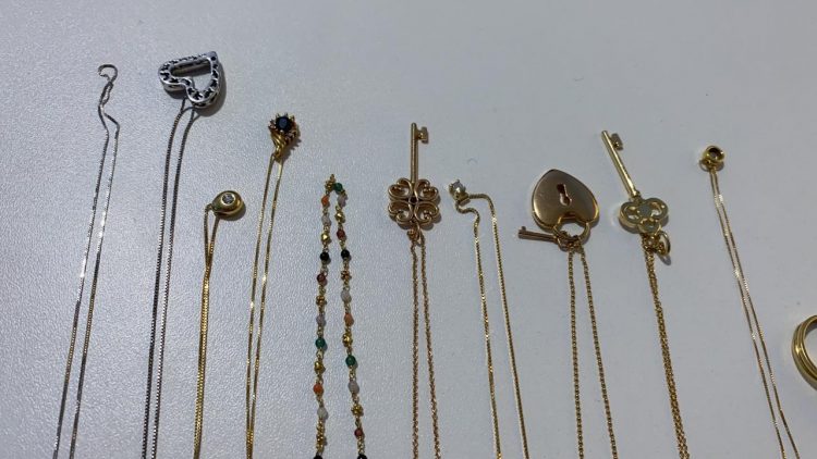 FOTOS: Divulgação/PC-AM