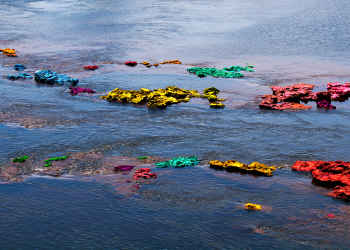 Série Nas águas de Balbina- Pedrasquecelebram. Foto: Divulgação