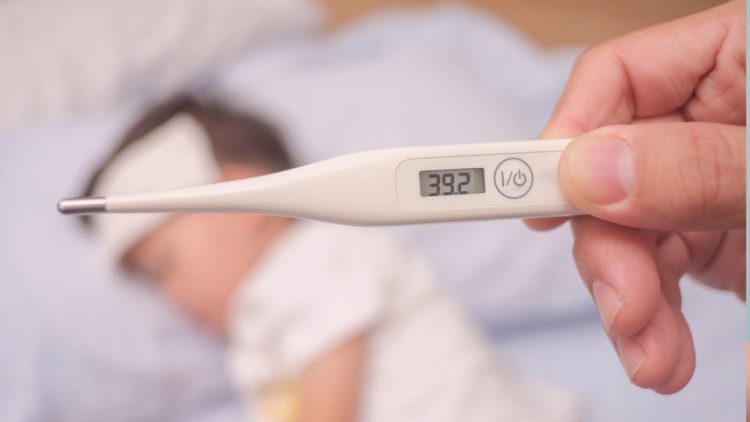 Reprodução-Internet