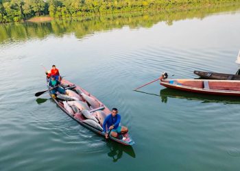 Foto: Divulgação/Sema