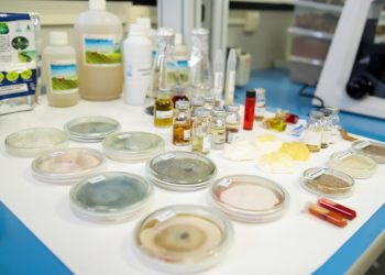 FOTOS: Érico Xavier/Fapeam