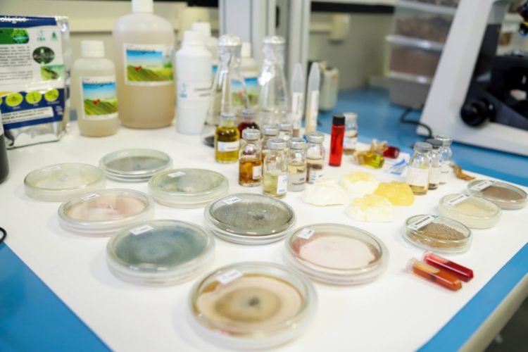 FOTOS: Érico Xavier/Fapeam