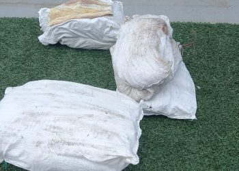 (Fotos: Divulgação/SSP-AM)