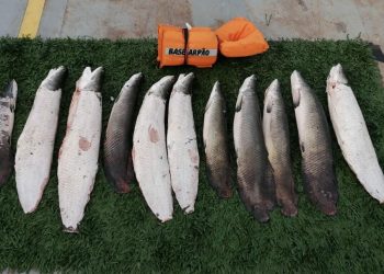 (Foto: Divulgação/SSP-AM)