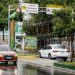 Zona de controle para proteger periquitos-de-asa-branca. Foto: Osmar Neto / Seminf e Keynes Breves / Semmas