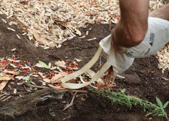 Foto: Divulgação/Amaury Moraes/FEI