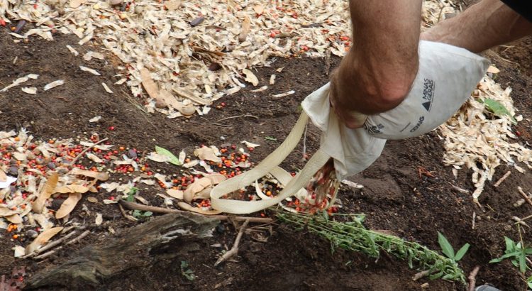 Foto: Divulgação/Amaury Moraes/FEI