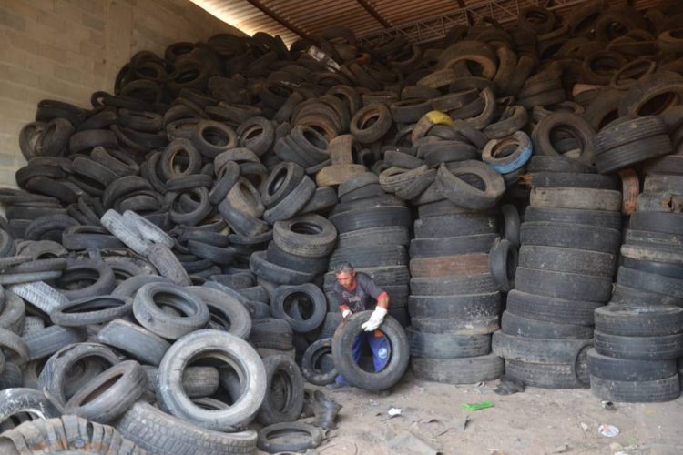 Foto: Reprodução / Internet