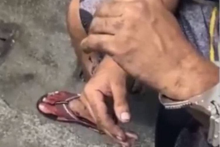 Foto: Reprodução