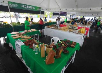 Foto: Arthur Castro/Secom