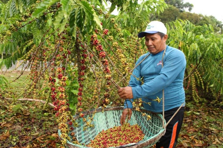 Foto: Djalma Junior/ Sepror