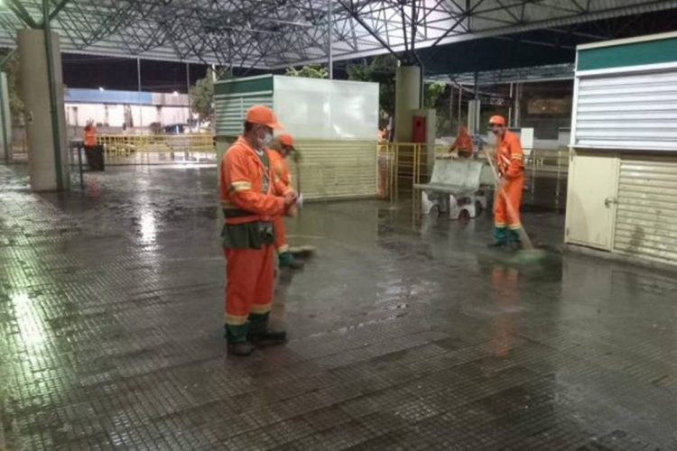 Foto: Divulgação / IMMU