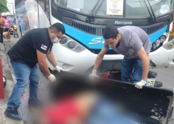 Reprodução/Whatsapp-