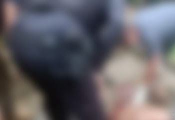 Reprodução/Whatsapp