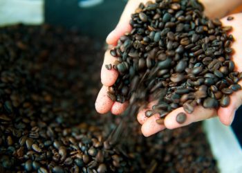 Foto: Arquivo/Sepror